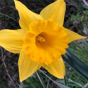 Meet your Posher, Suzanne